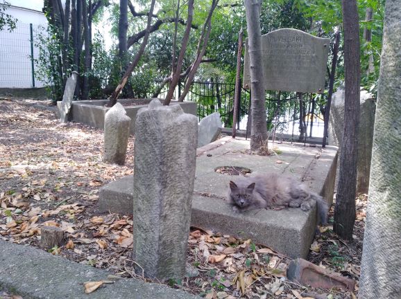 Cementerio de Maçka